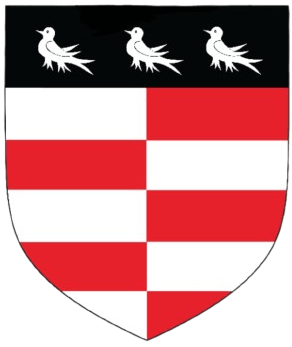 Heraldic Shield of the Baron of Irrus